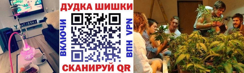 Купить наркотик аптеки Сокол Псилоцибиновые грибы Меф мяу мяу Гашиш МАРИХУАНА