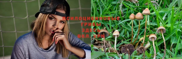 метамфетамин Абаза