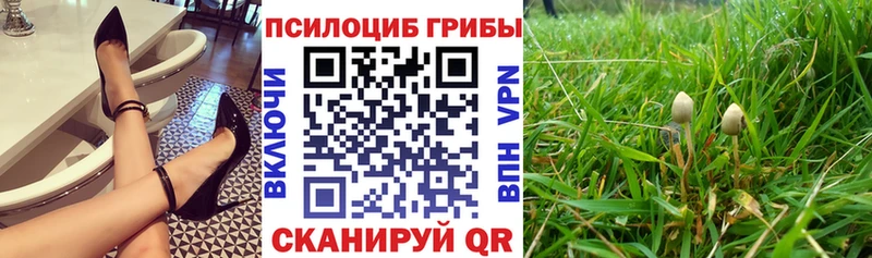 Галлюциногенные грибы ЛСД Сокол